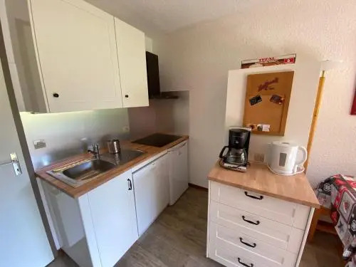 Studio La Clusaz, 1 pièce, 4 personnes - FR-1-459-86