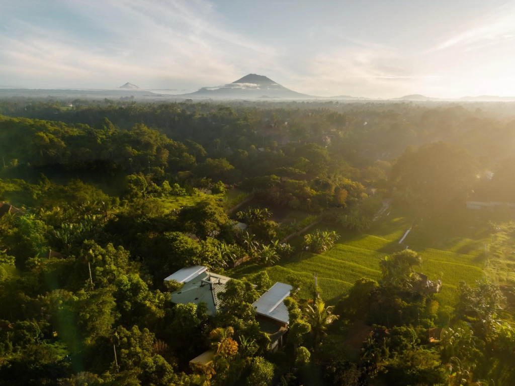 Grün Ubud