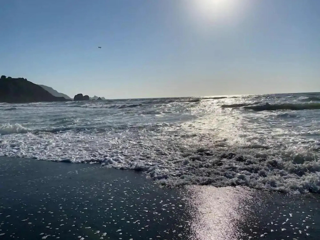 Pacifica Homes