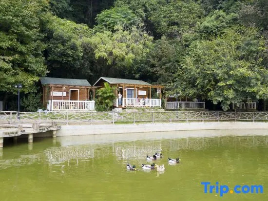 Yingde Fenglin Moke Homestay