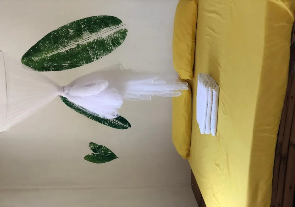 Tribal Xperience Guesthouse