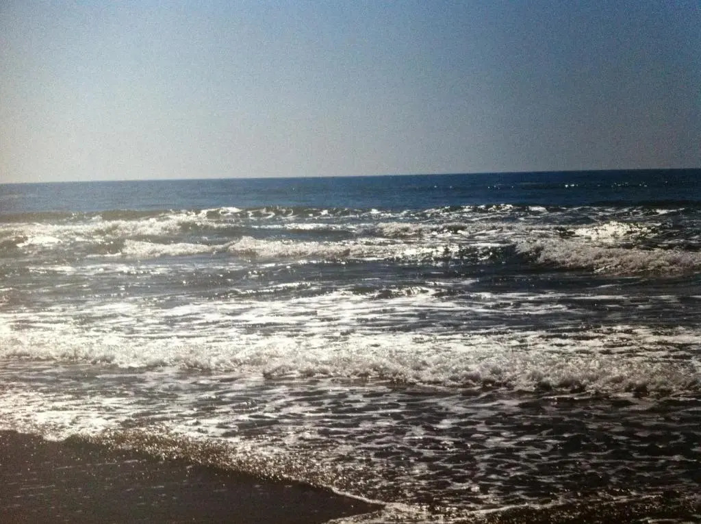 Villa Unica Terrazzo Sul Mare
