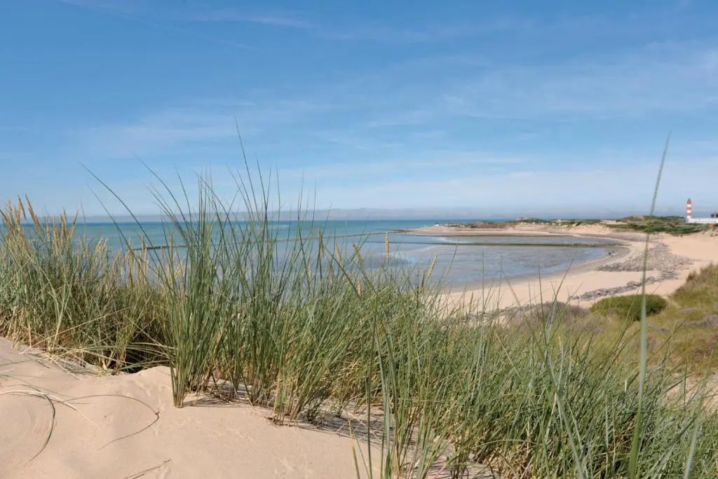 Studio Au Coeur de la Baie