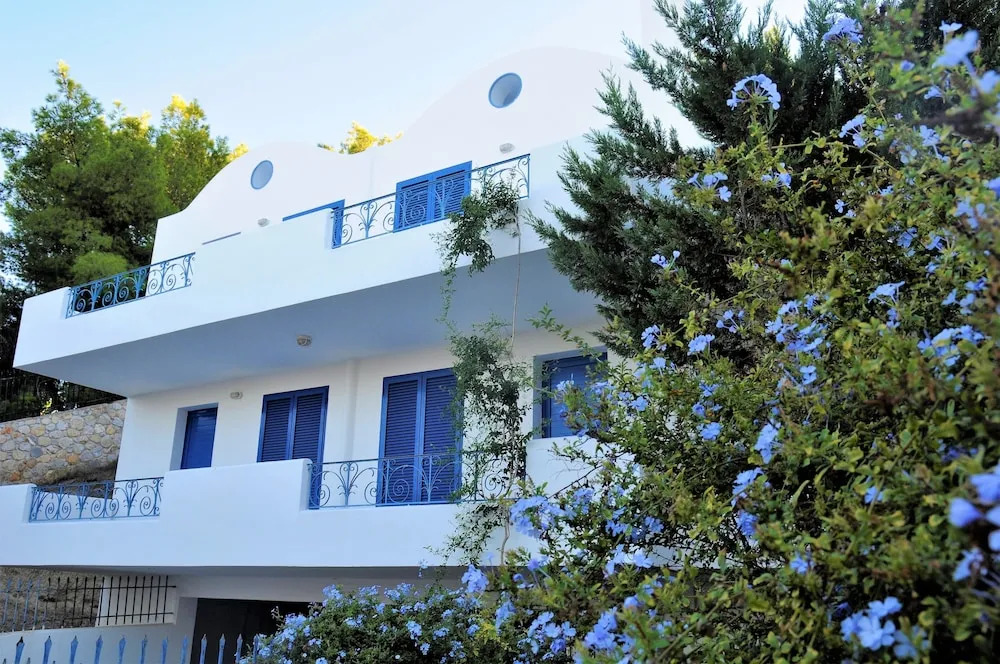 Homey Apartments