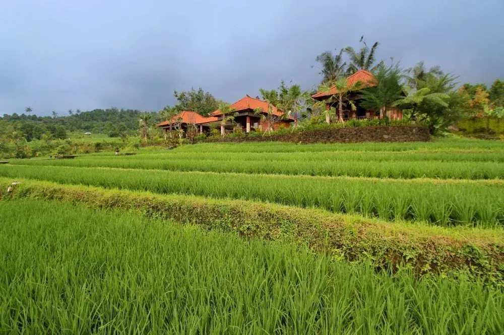 The Khana Sambangan
