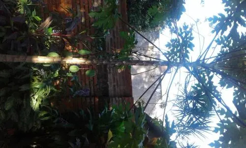 La Casa de Pedro Hostel