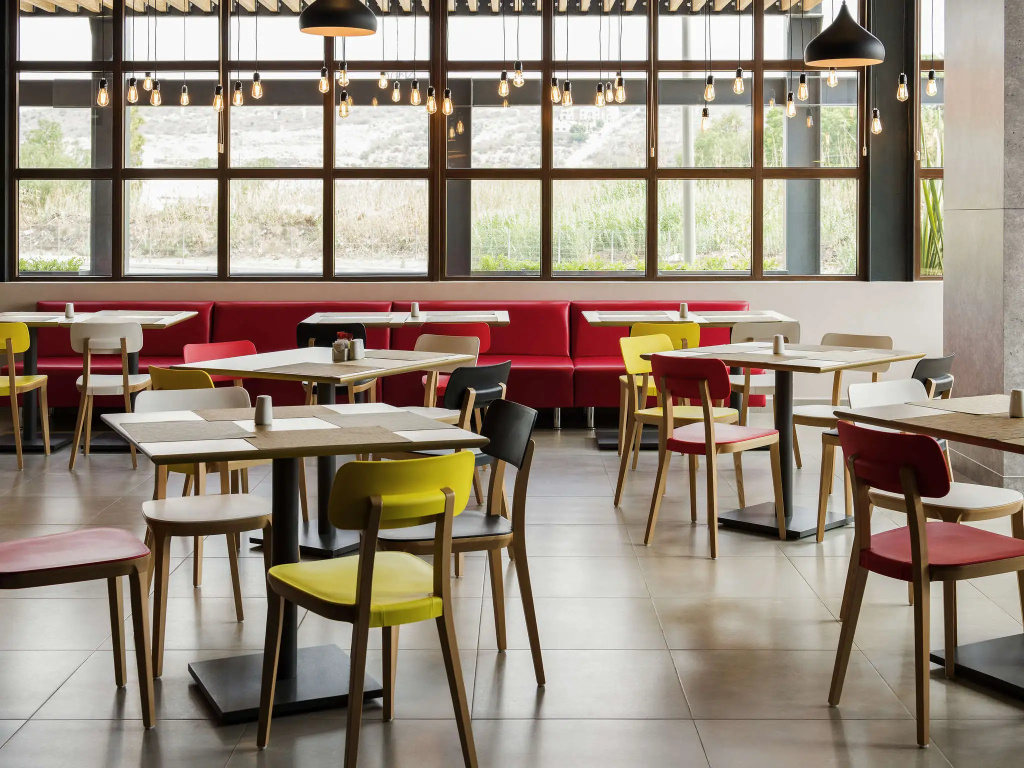 Ibis Irapuato
