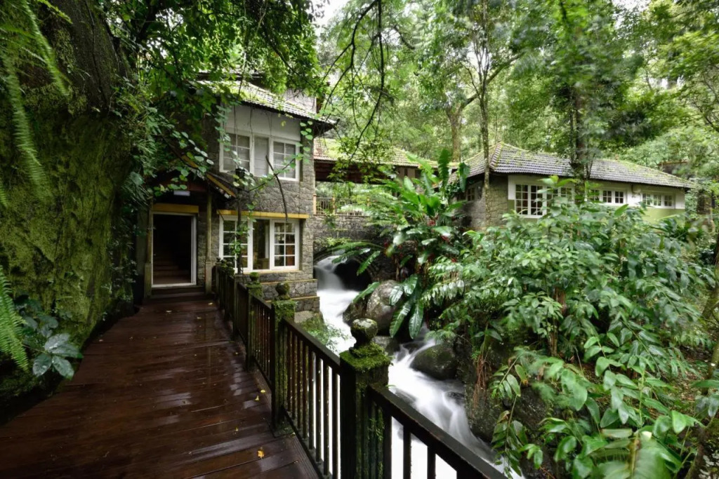 Mystic Mayapott Thekkady