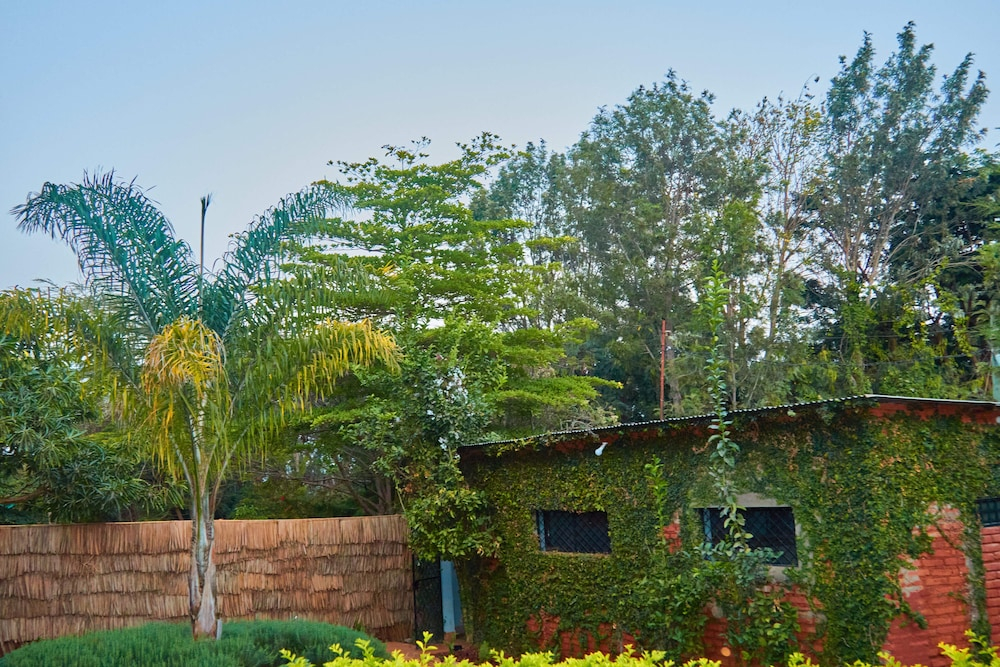 Njia Panda Tented Lodge And Campsite
