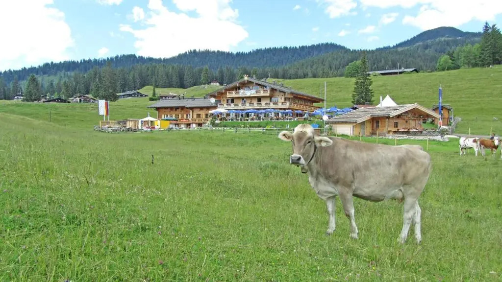 Winklmoos SonnenAlm