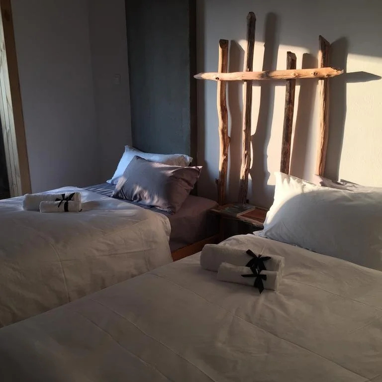 Jing Pu Plant Theme Hostel