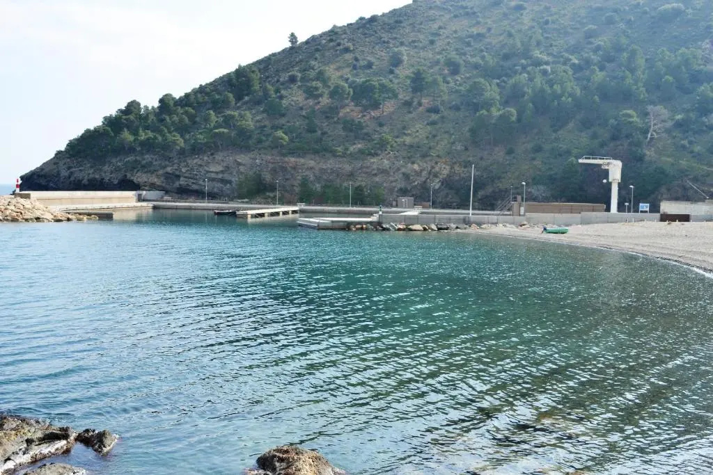 Colera 2