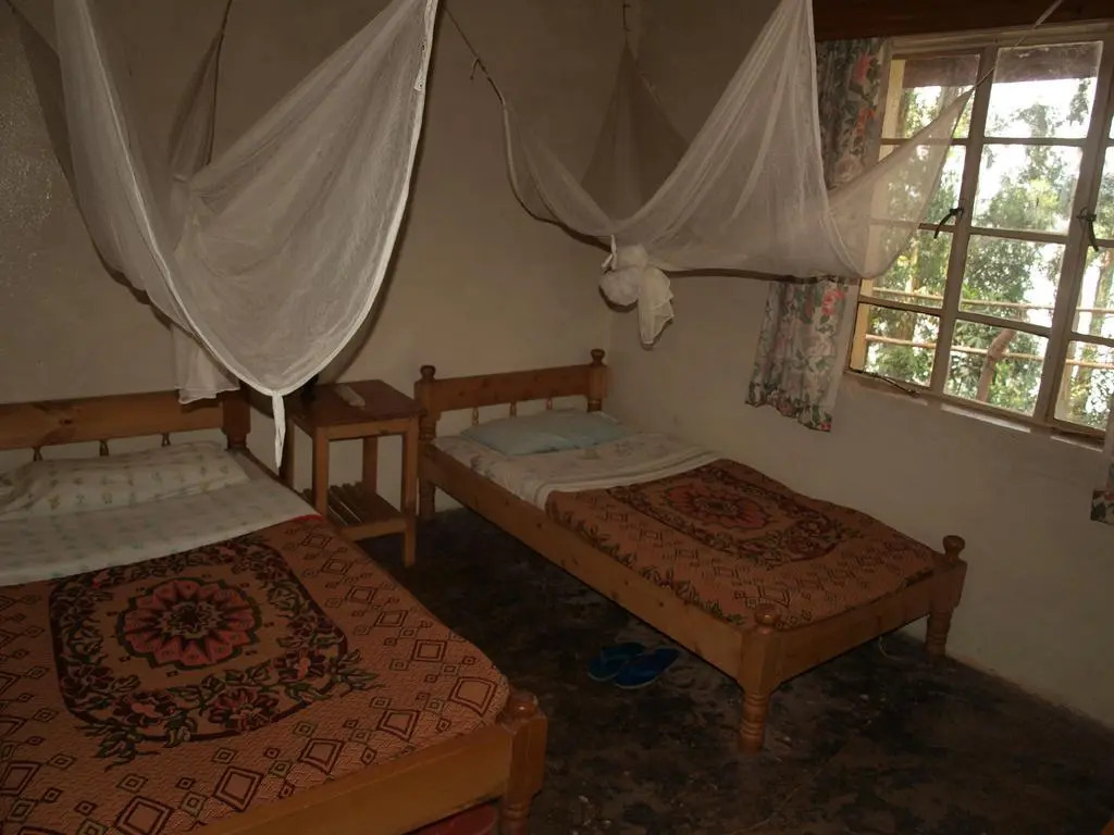Bushara Island Camp