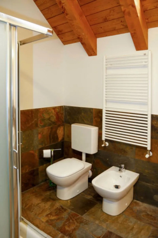 Apartment Cjase dai Fornasirs by Interhome