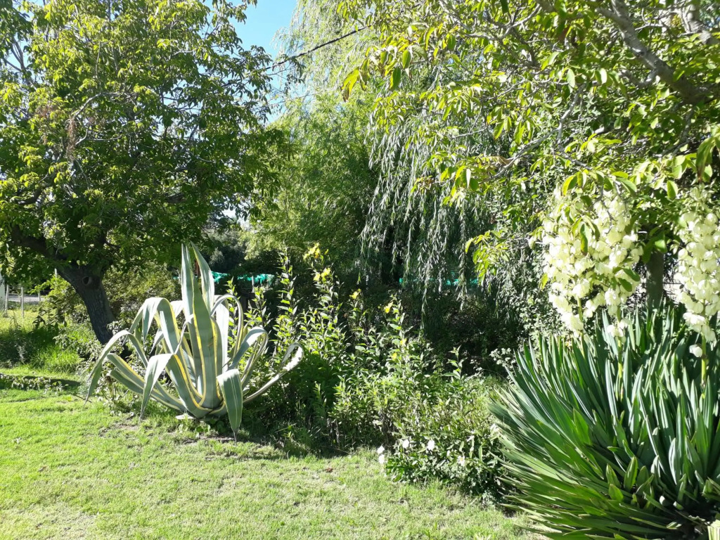 Casa de campo Las olivas