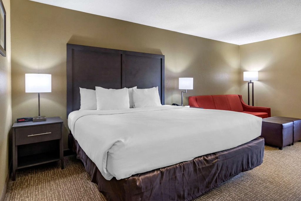 Comfort Inn Opelika - Auburn