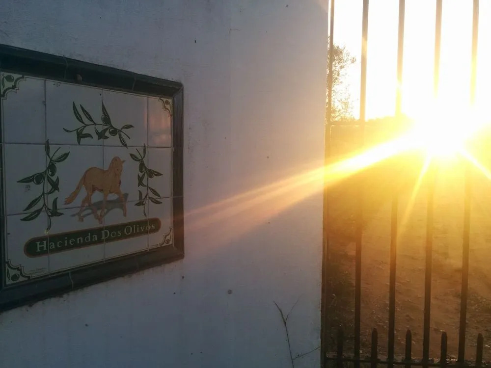 Hacienda Dos Olivos