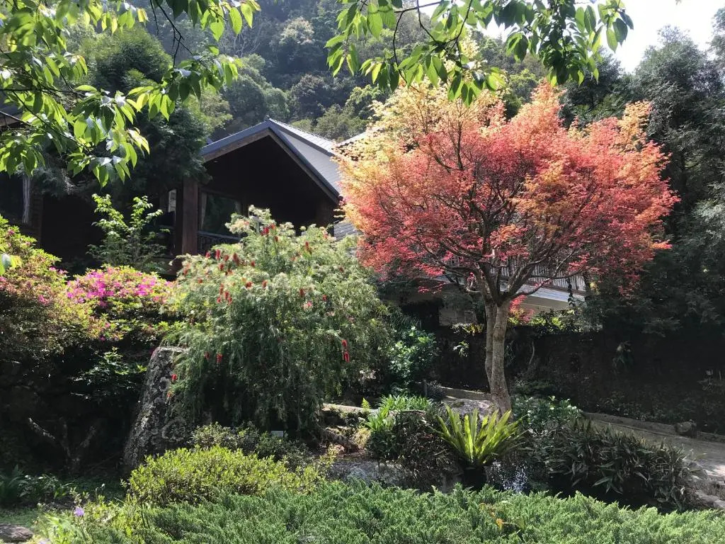 福緣山莊 桃園市民宿004號