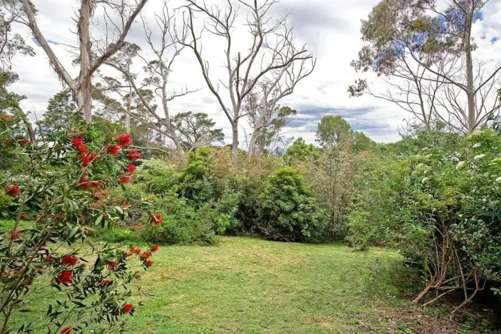 The Black Cockatoo - Secret Garden Treetops Home