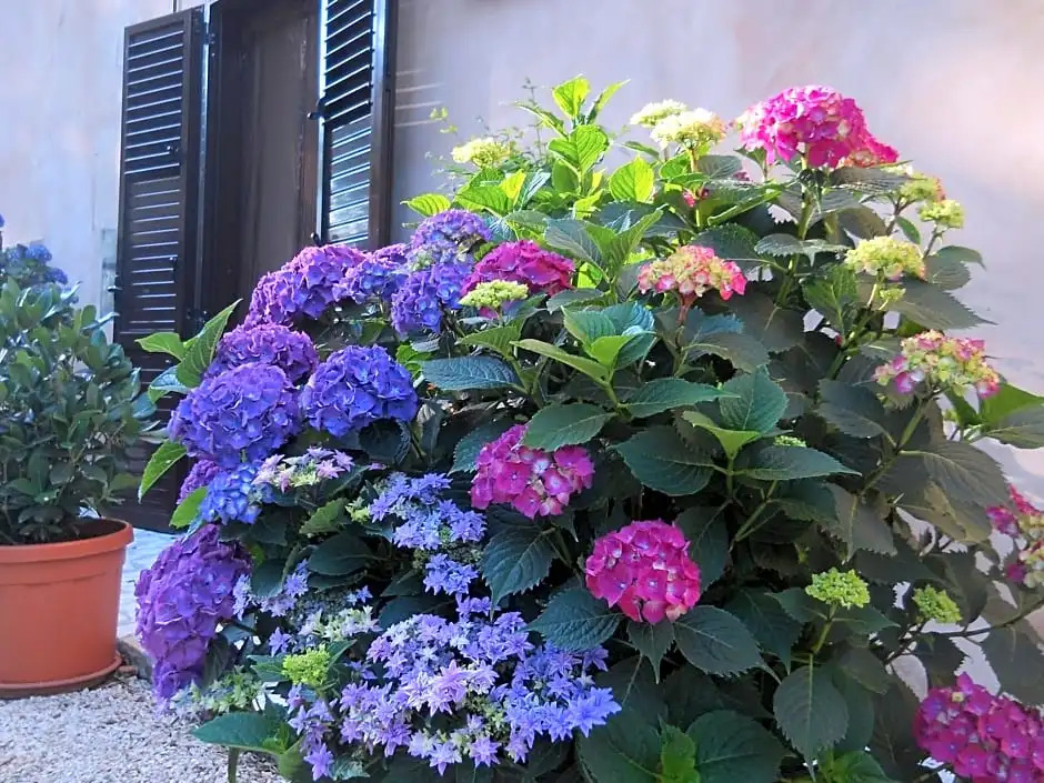 Bed&Breakfast Silent Valley