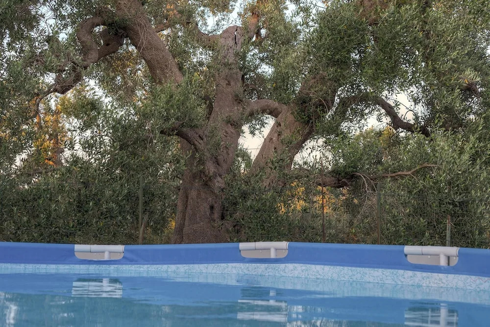 Trullo del Falegname Ostuni by Typney