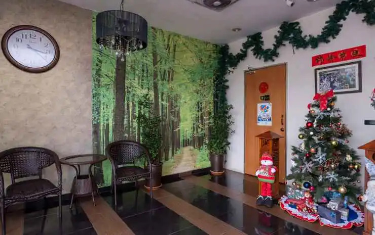 DPinetrees Hotel