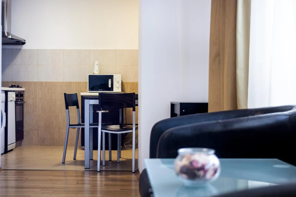 Luxury Studio Aviatiei