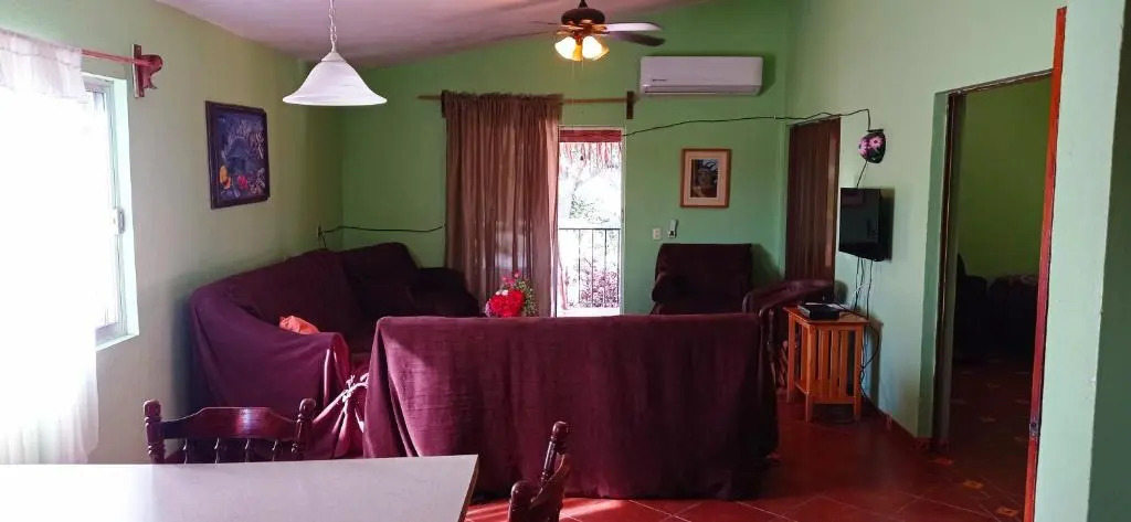 Iguana Loca 2