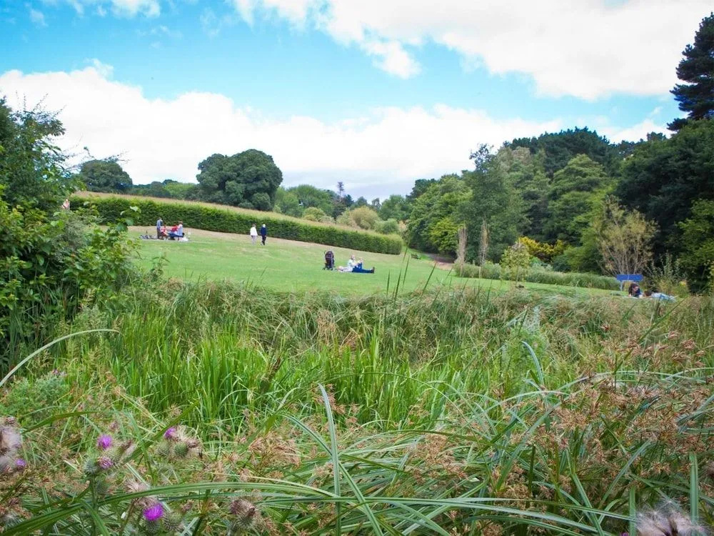 University of Exeter - Holland Hall