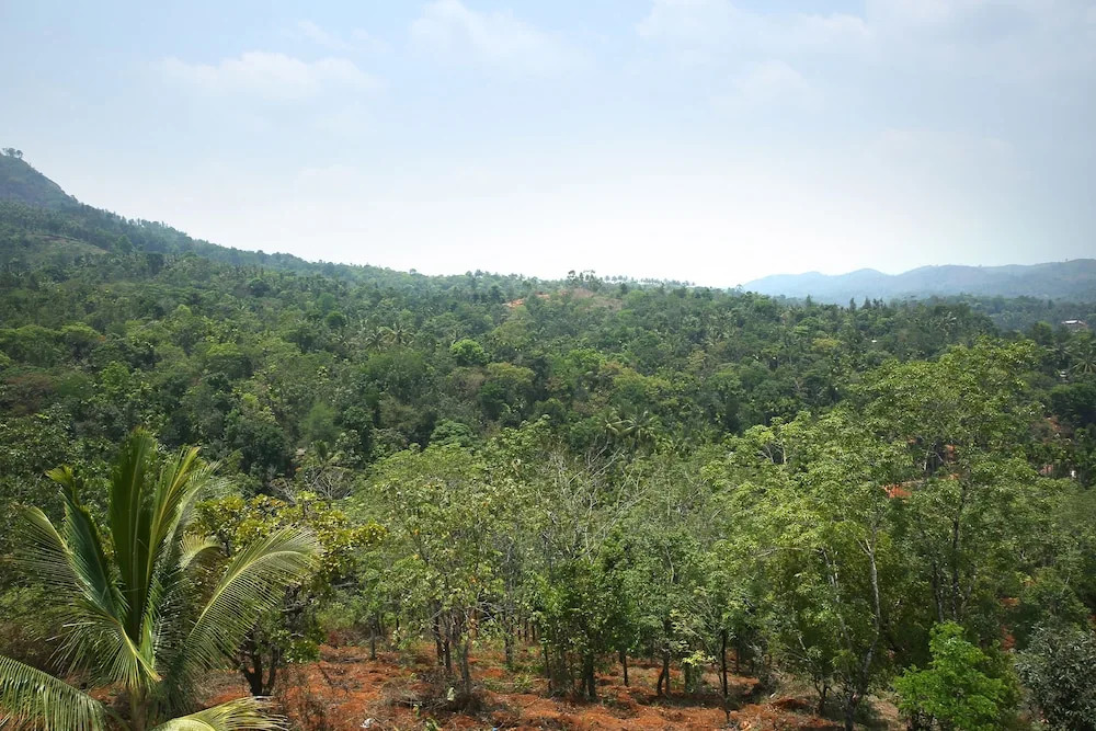 OYO 10460 Hotel Bethel Homestay