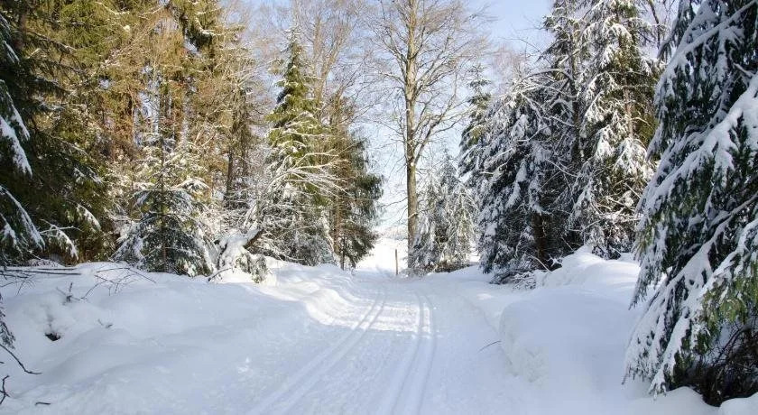 Pension Waldesruh