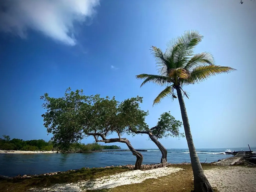 Hotel Isla Fuerte Ecohouse
