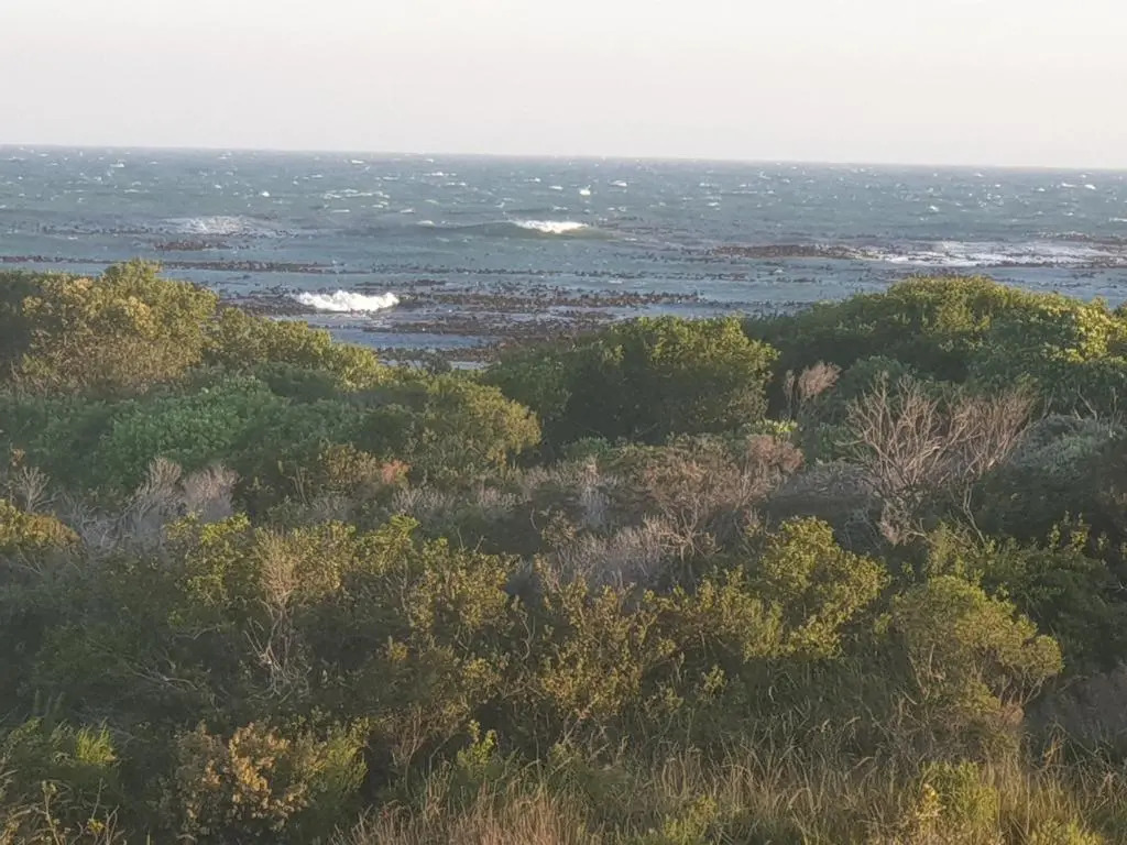 Sea front Rocky Pools