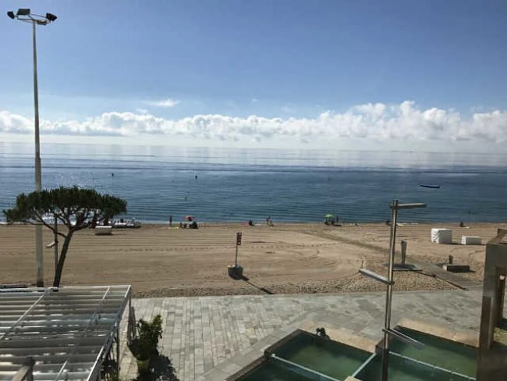 Apartamento Elypalace 1-3