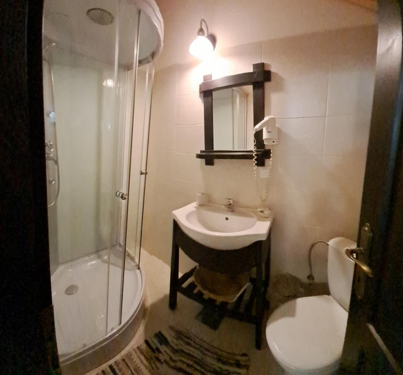 Pension Cabana Ionela