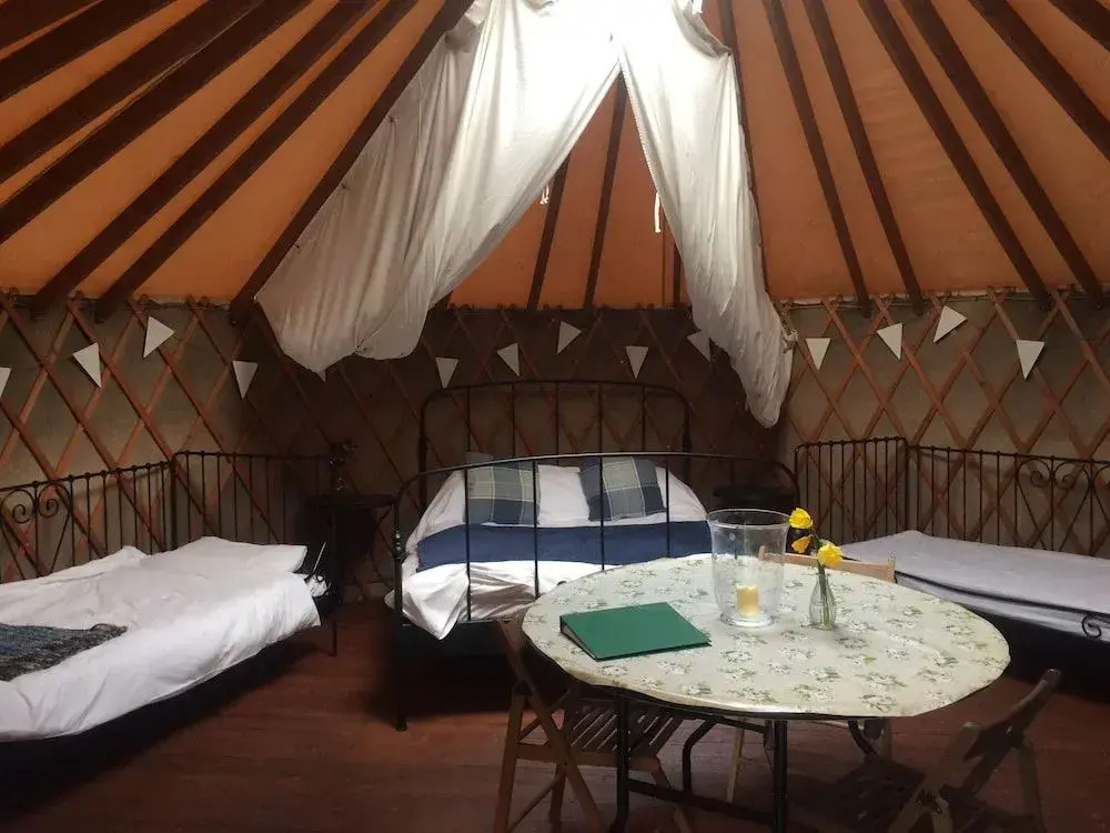 Yurtcamp Devon