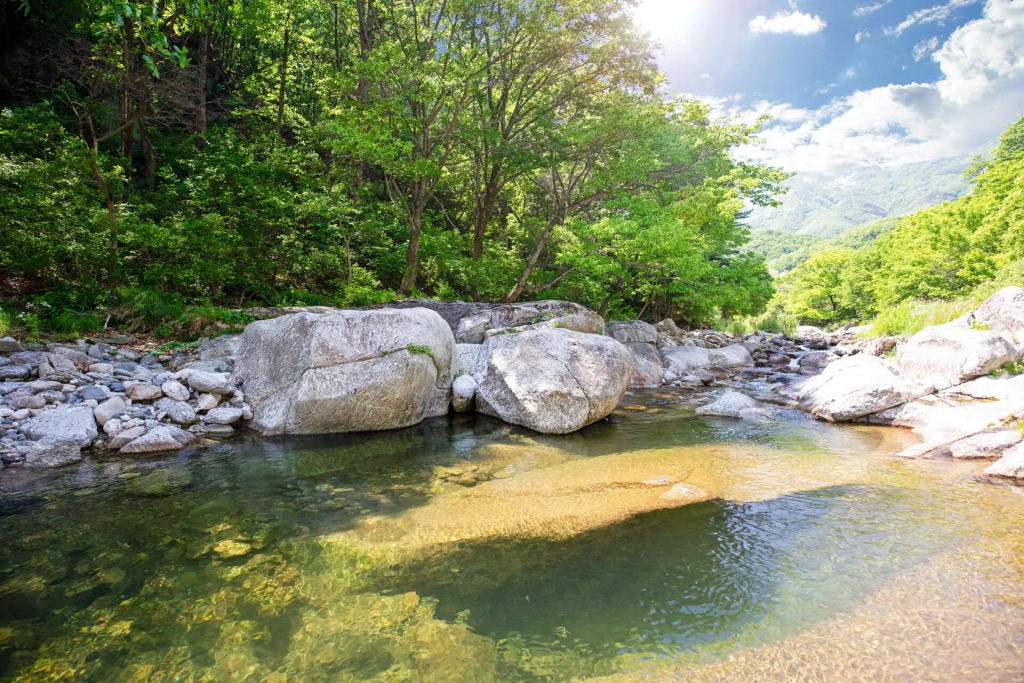 Gapyeong Cheotnooneh Pension