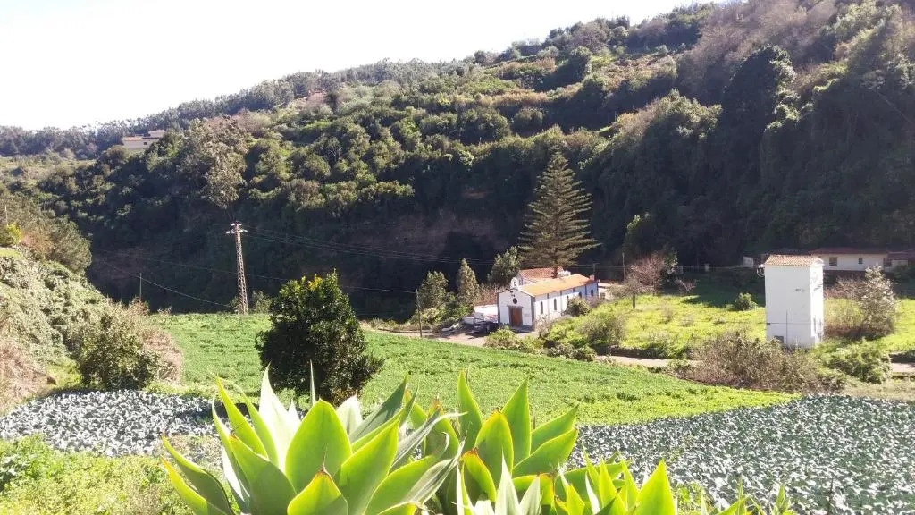 Barrancolaurel
