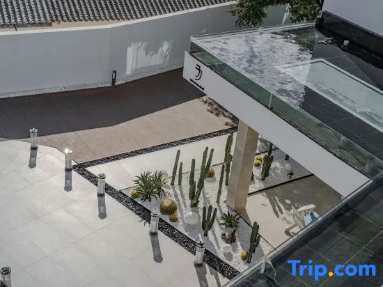 Dali Oriental Seaview Hotel -Dali Erhai