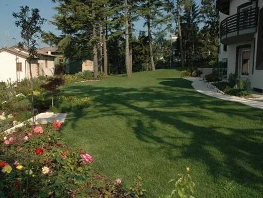 Hotel Pineta