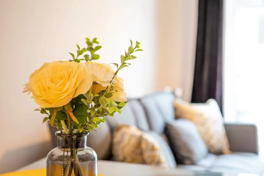 The Elk Suite Sasco Apartments
