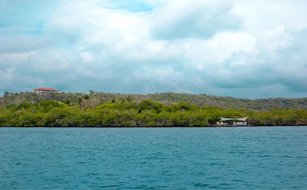 Isla Madre Selva