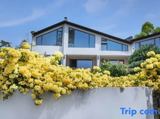 Jiacao Courtyard Guesthouse