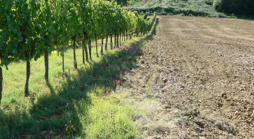Appartamento vicino a Siena