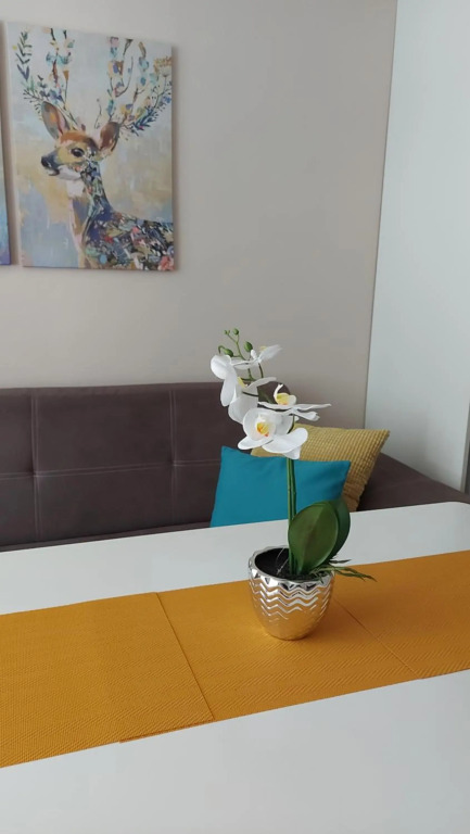HostEx Meraki Apartment