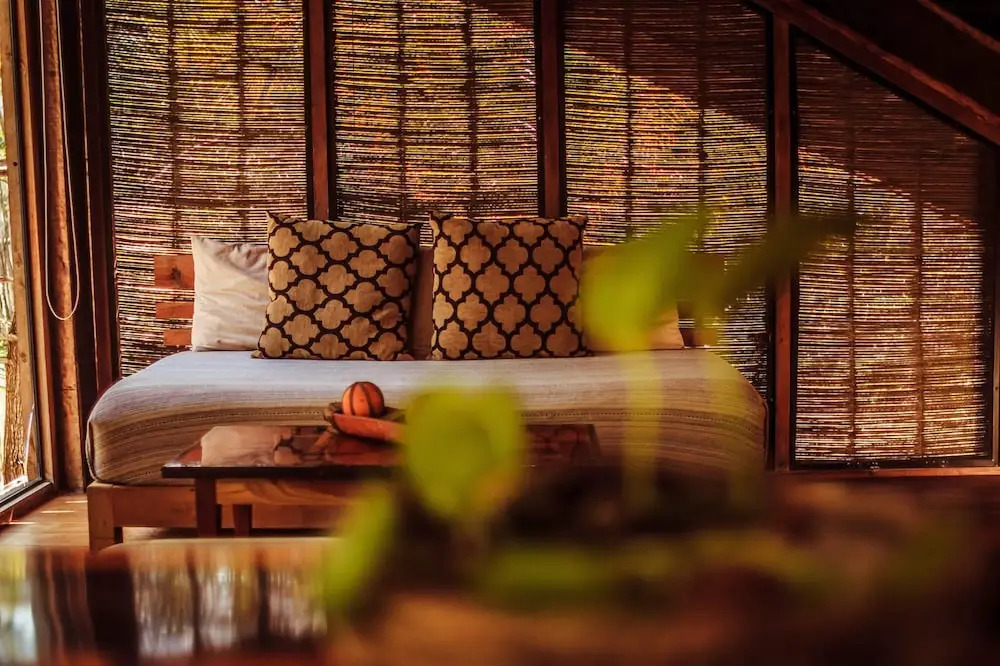 Vida Silvestre Tulum