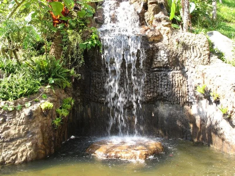 Thuleefa Health Resort
