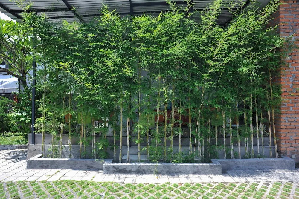 Airy Denpasar Utara Pidada Utama 27 Bali