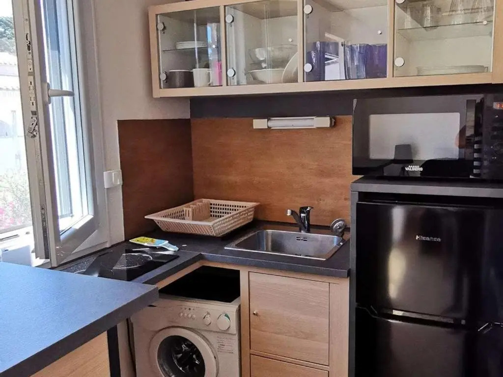 Appartement Cap d'Agde, 1 pièce, 5 personnes - FR-1-607-63