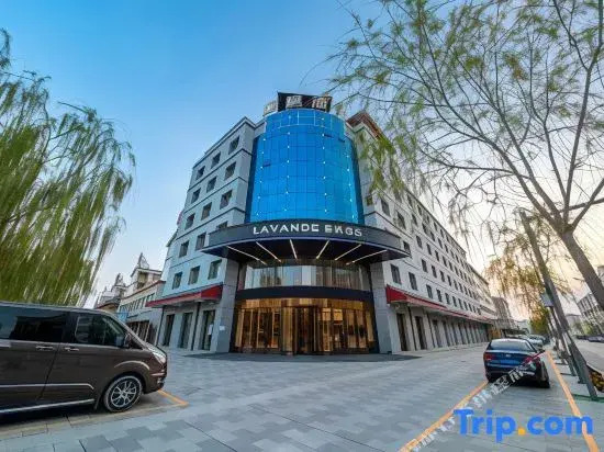 Lavande Hotel（Lingwu government store）